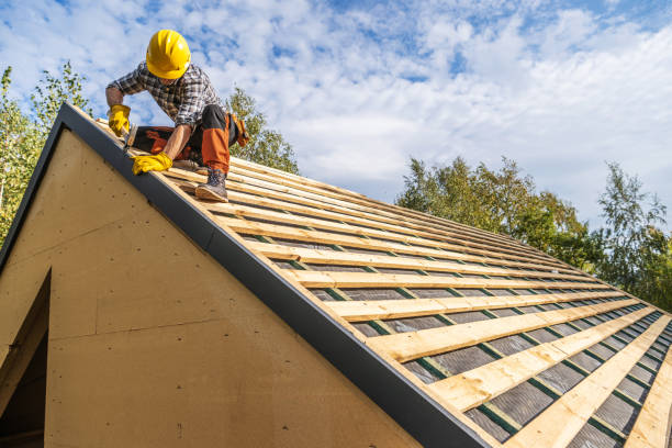 Best Roof Gutter Cleaning  in Island Heights, NJ